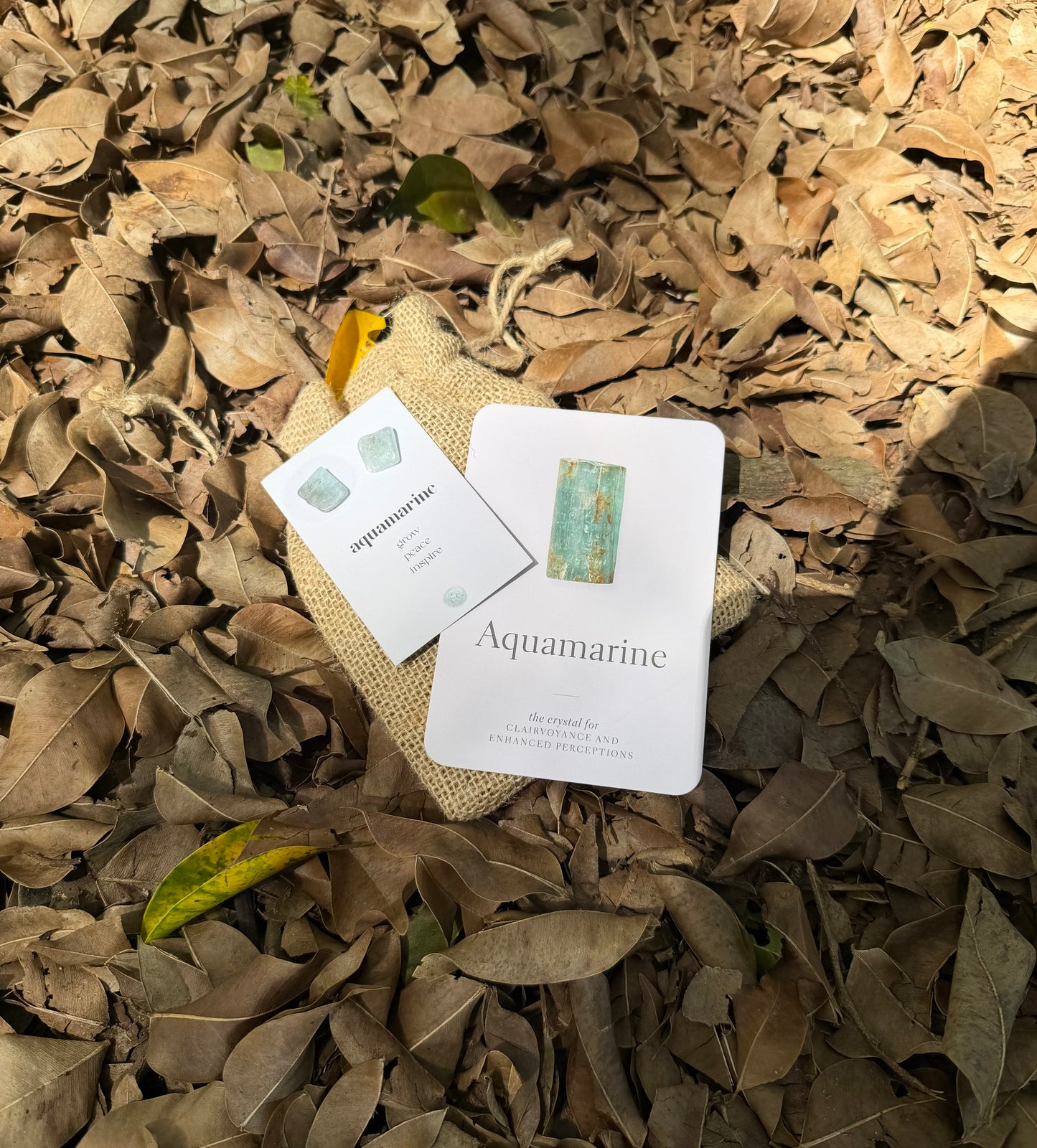 Crystal Earrings ✨ Aquamarine