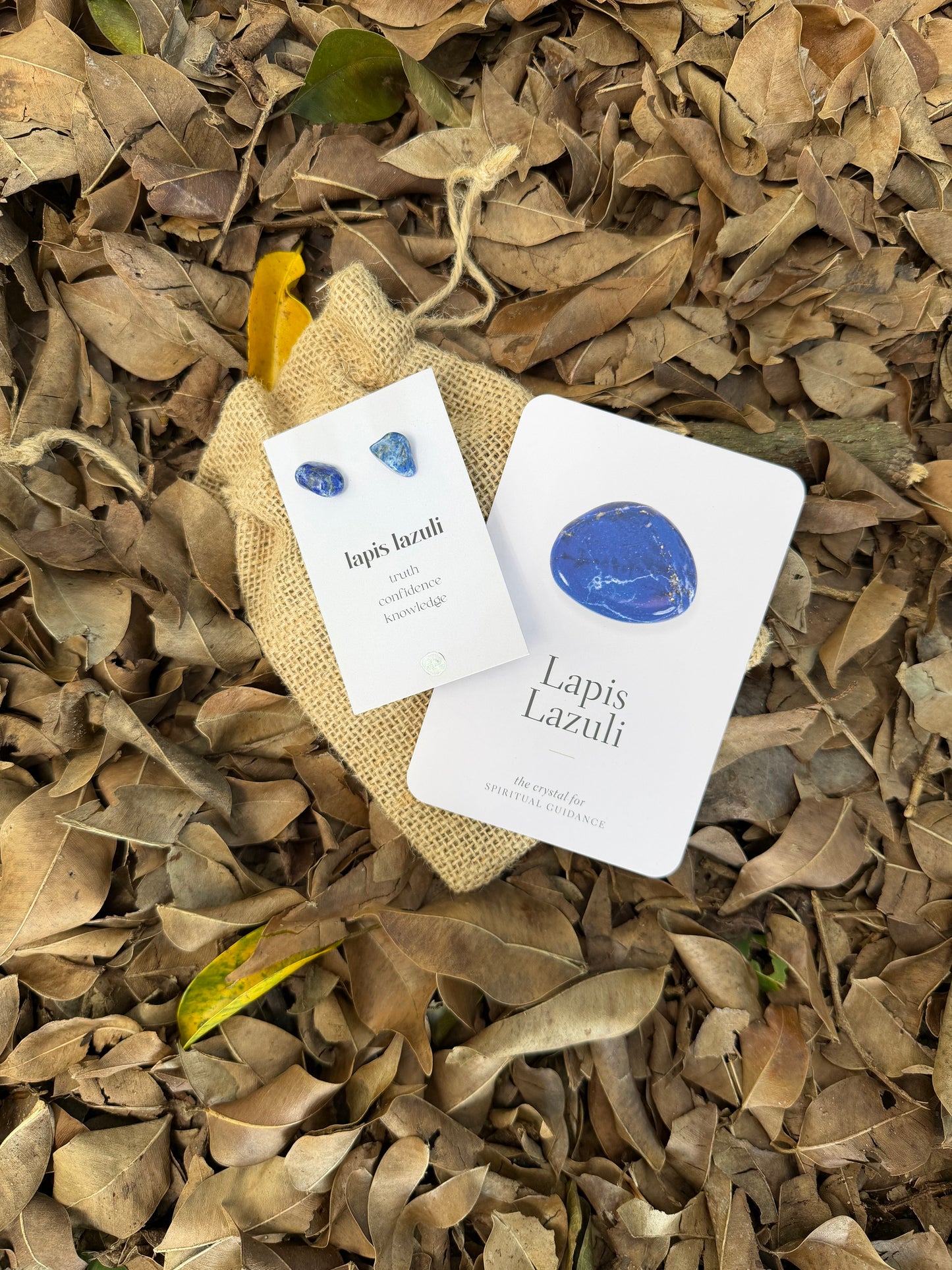 Crystal Earrings ✨ Lapis Lazuli